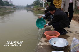 生態修復，漁業振興——浦北縣水產畜牧獸醫局成功舉辦漁業資源人工增殖放流活動