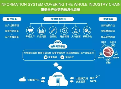 中國生豬產業企業數字化發展加速 牧原、溫氏、正邦、新希望積極布局