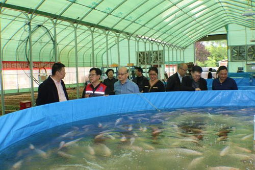 魚玄莊 兩岸科農聯手 助力鄉村振興 畜牧漁業飼料銷售新篇章
