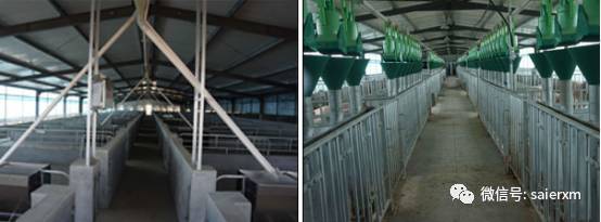 畜牧行業迎來多重利好與挑戰 飼料添加劑新規、原料藥停產、養豬巨頭業績創新高